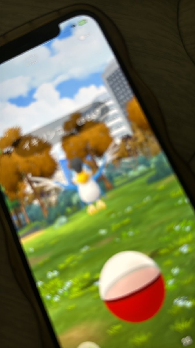 たぴぴのぴぴぴ tweet media