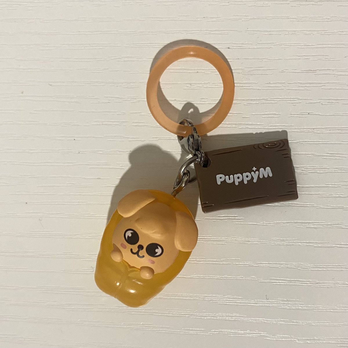 ppm_srnh's tweet photo. はじめ��ガチャでパピム自分で出せた✨
しかも一発目！
いいこいいこ🥰 https://t.co/GkMTAQXUse
