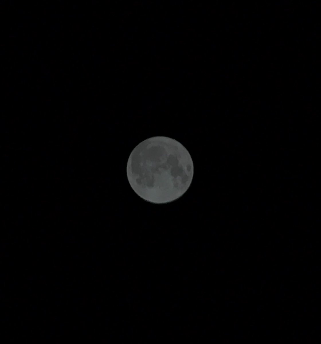 cieloblue44's tweet photo. IERI LA LUNA ERA SPETTACOLARE 🥹 https://t.co/F6cLrefR56