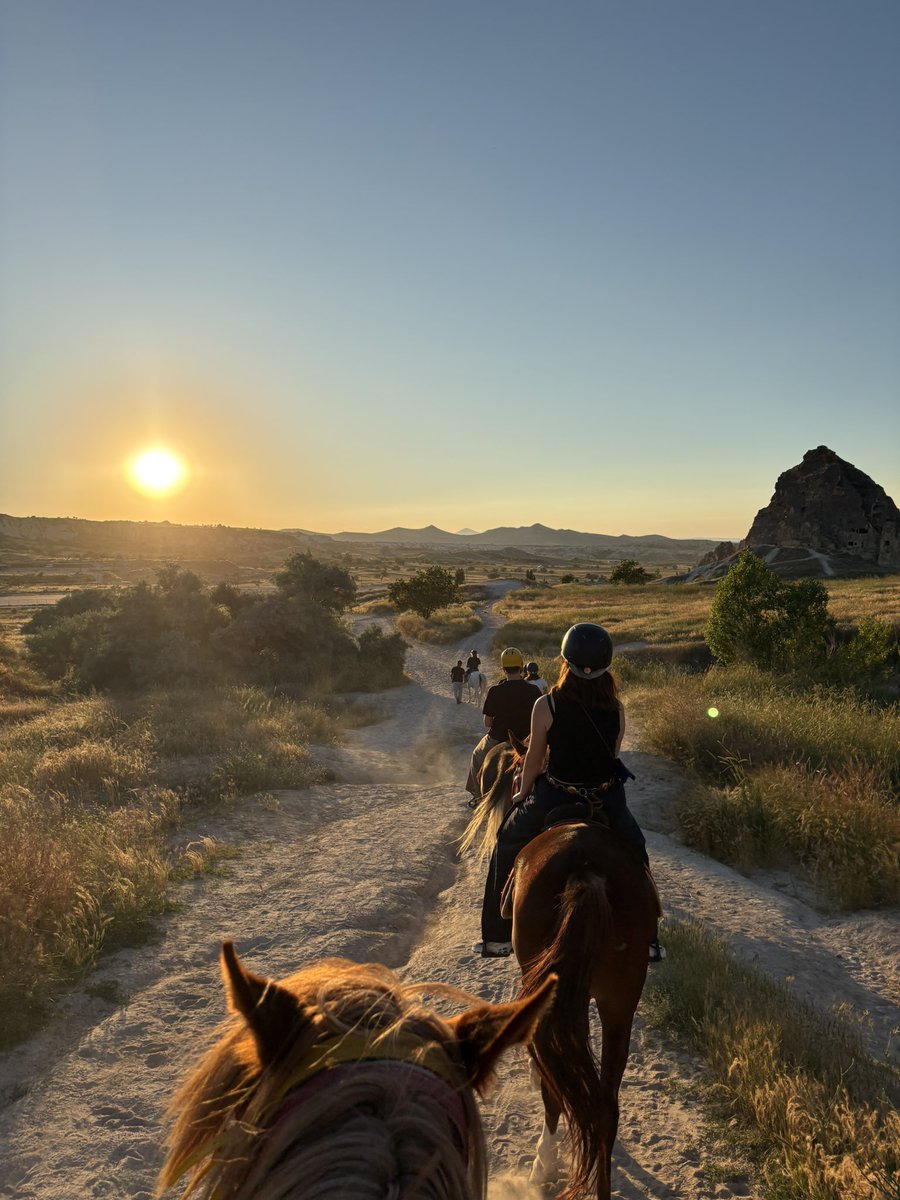 bnbmboom's tweet photo. 🐴🍊👜🐎 https://t.co/sT2WypEldh