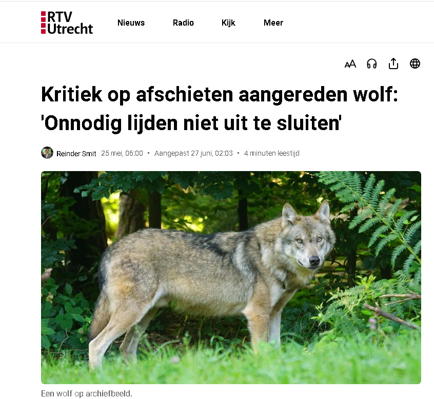 WolveninUtrecht's tweet photo. https://t.co/SrBSfmD6EP

Juultje was een klein wolfje. Ze was al mank door een eerdere aanrijding.

Bij de tweede aanrijding 22 september Doornseweg was er weinig liefde, respect en deskundigheid aanwezig toen ze werd gedood. https://t.co/grkey677yt