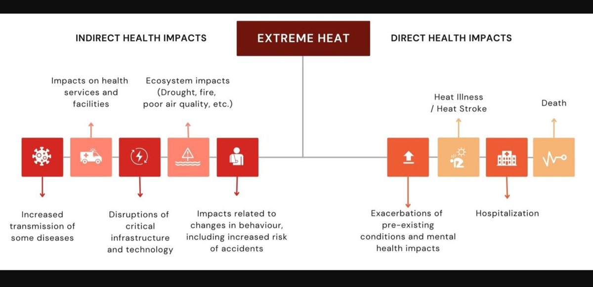 Radaimond's tweet photo. #Heatwave 
#HeatStress 
#HeatStroke 

WHO: Tips For Keeping Cool

https://t.co/JKOE10ie3I https://t.co/1R5v5RFRlW