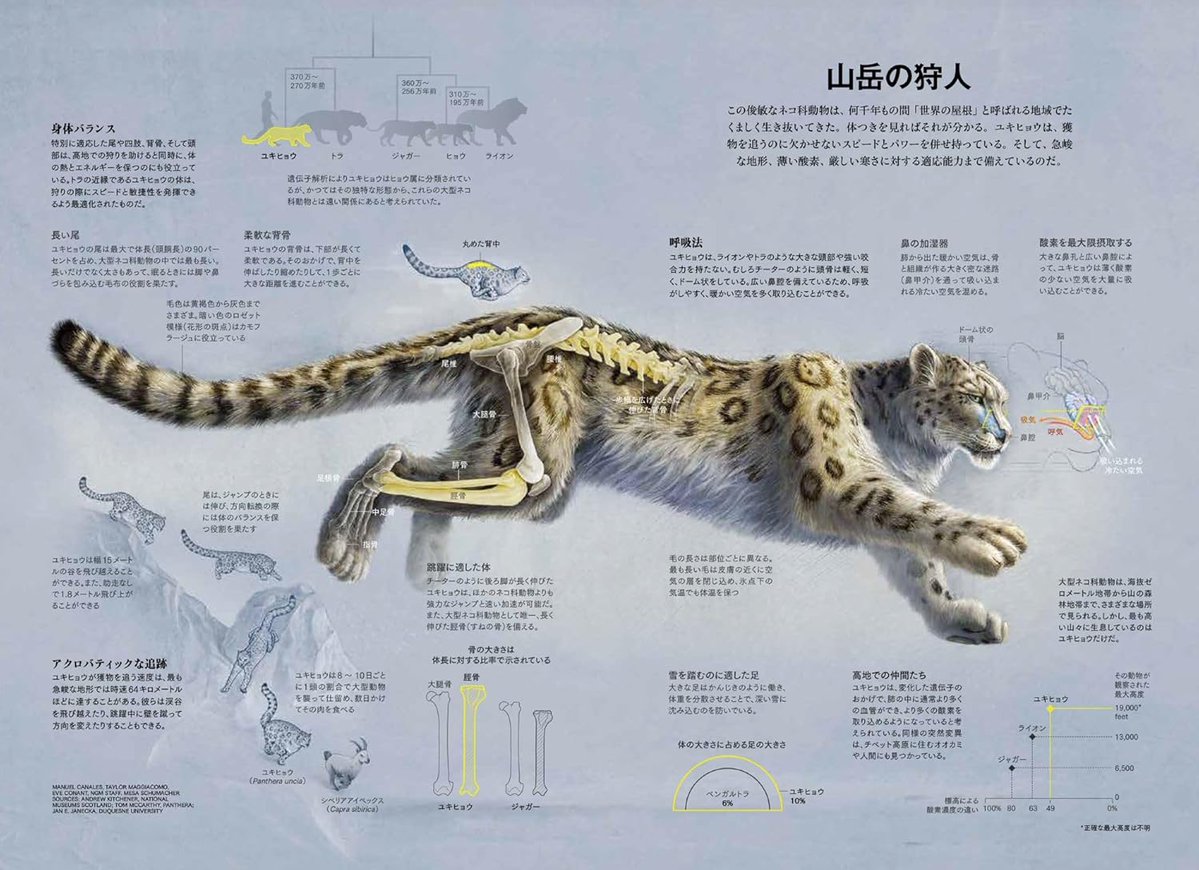 ナショナルジオグラフィック日本版 (@NatGeoMagJP) / Posts / X