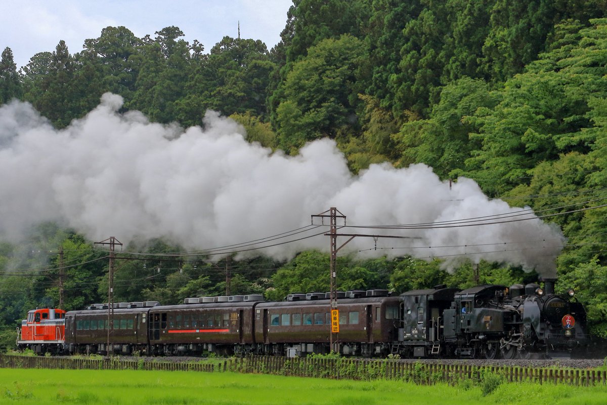 ht3751's tweet photo. #2026年上半期を写真4枚で振り返る https://t.co/uFKsnV0MYR