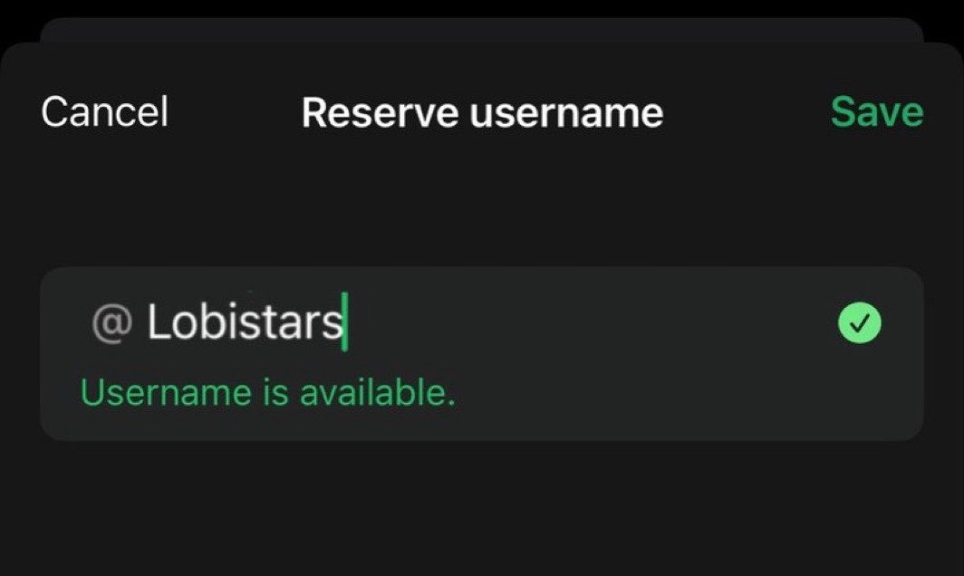lobistars🇵🇹 tweet media