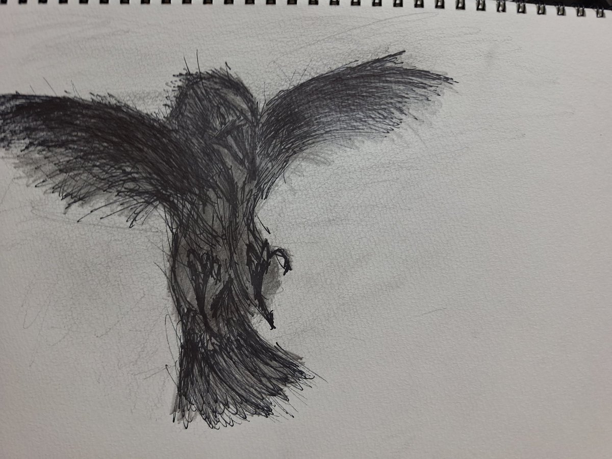 VOICENo0's tweet photo. ｢幻烏｣
#烏 #カラス #イラスト #手書き https://t.co/NikAypSJeU