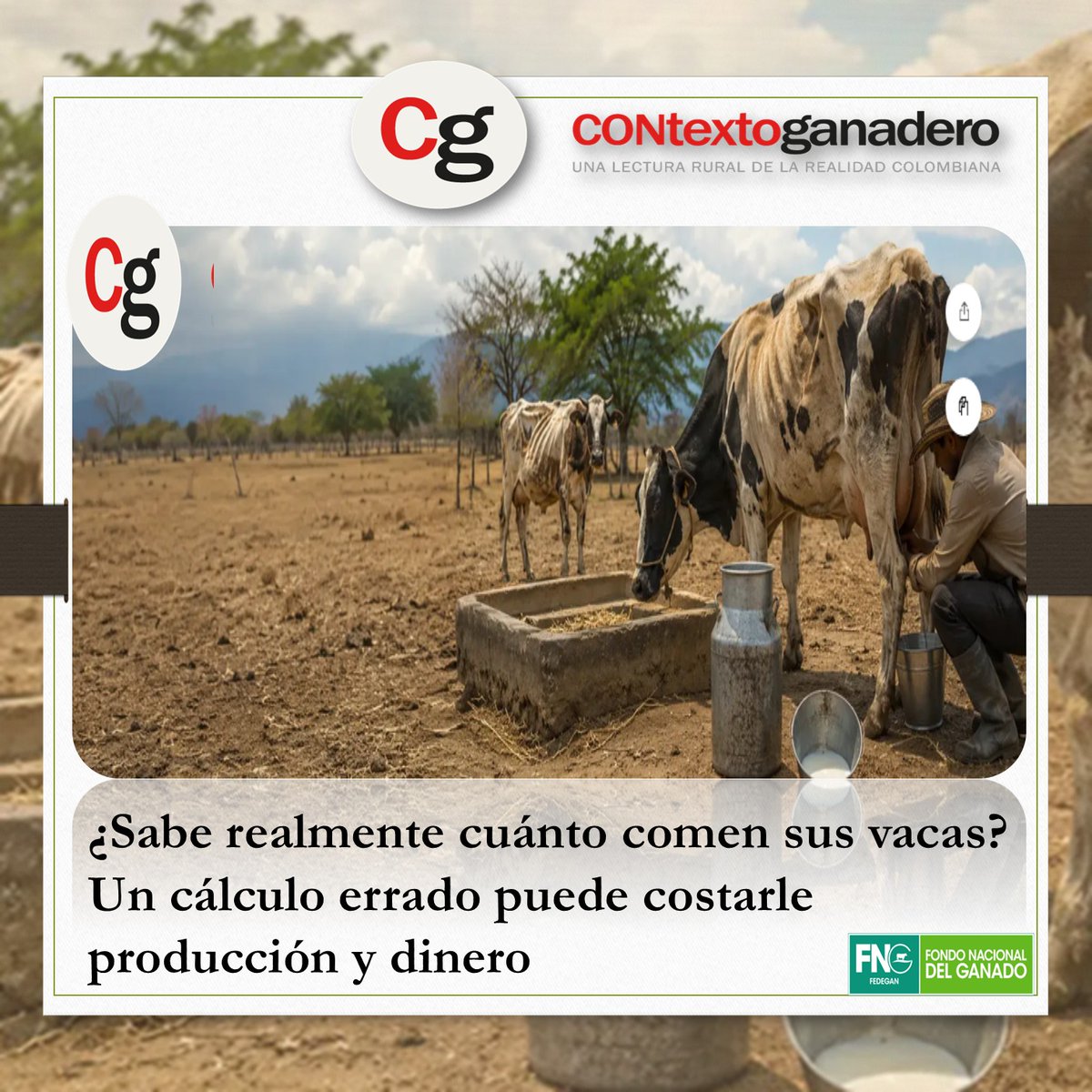 FCerete's tweet photo. #ConstruyendoGanaderia Calcular la materia seca, medir la producción de los potreros y planificar las reservas de alimento puede marcar la diferencia. Conozca👉https://t.co/sBHkjjCj6c @ContGanadero @Fedegan @jflafaurie @ICACOLOMBIA @pl_pasto @PLArboletes @Montelibanopl @FngLocal https://t.co/p5VW03rlrr