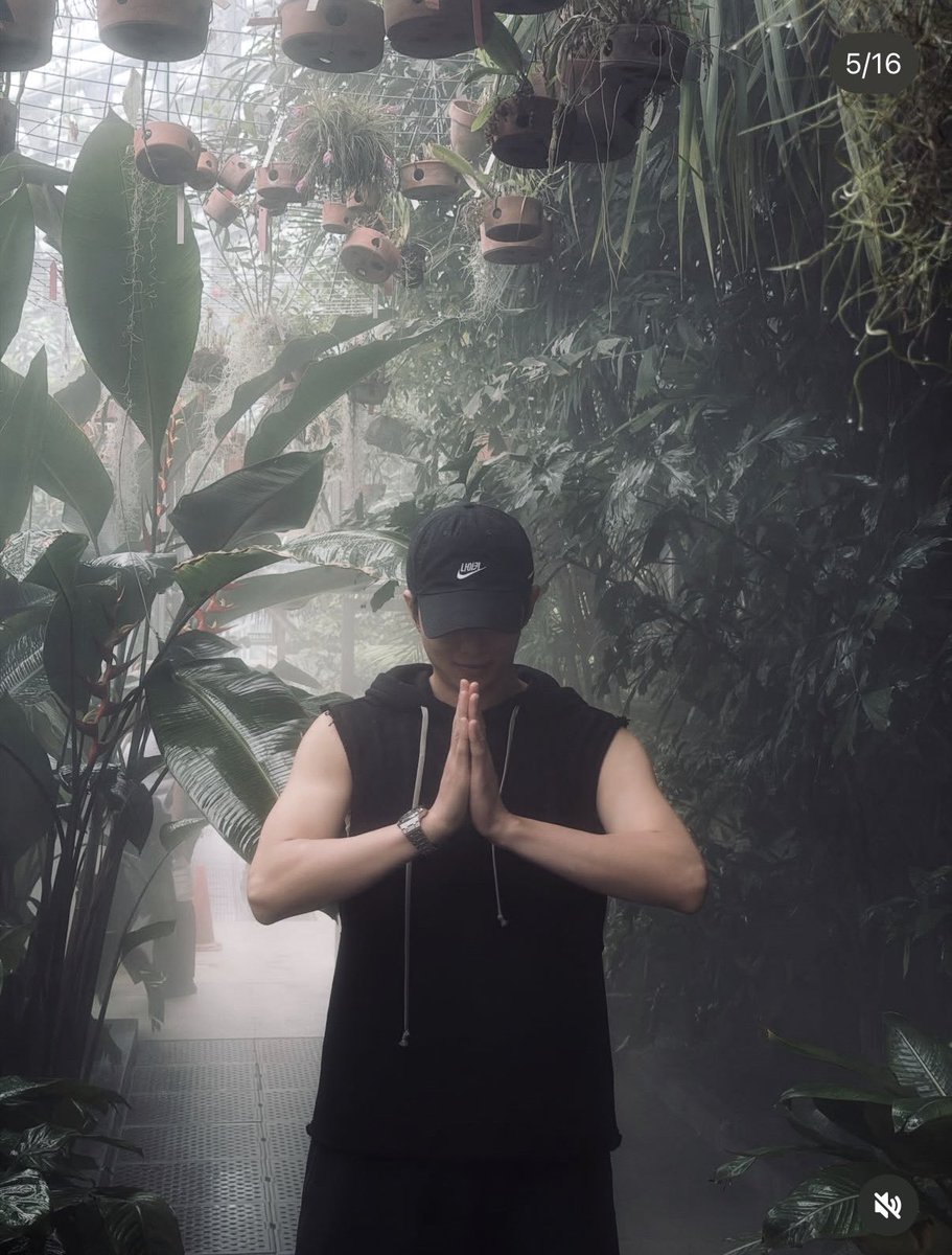 kookingwithjoon's tweet photo. i’m crying, this man is fully aware we are ALL going feral for his arms rn https://t.co/L7T0AXp3FJ