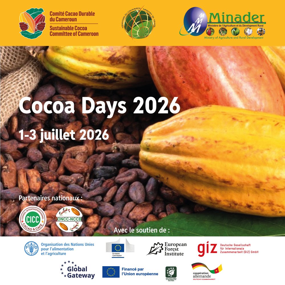 FAOCameroun's tweet photo. 📢#CocoaDays2026 |Le Cameroun célèbre le cacao durable!🍫
📅Du 1er au 3 juillet, retrouvez les acteurs de la filière pour échanger sur la durabilité, la traçabilité et l’avenir du cacao.
🔗Inscrivez-vous dès maintenant pour suivre les échanges en ligne !
👉https://t.co/1TiUgQbv2S https://t.co/bySwUcXXZY