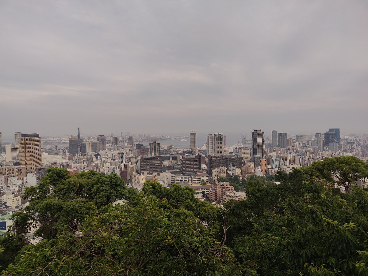 chisimofficial's tweet photo. 神戸市🦥 https://t.co/jYOpnJzViI