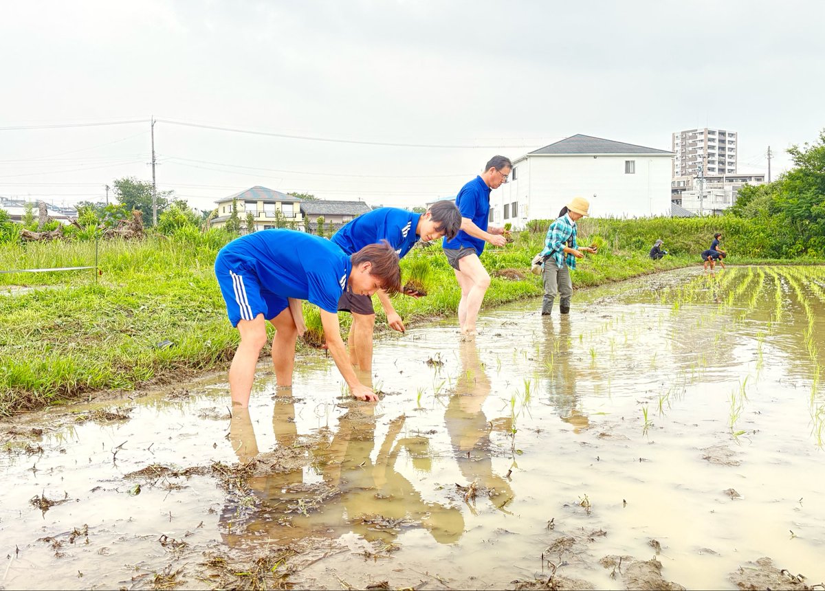 aisan_running's tweet photo. #大府市 で栽培されている有機米 #おおぶニック米 の田植え作業のお手伝いをしました。
#愛三工業レーシングチーム と一緒に農家の方の指導の下、田植え機や手植えを体験しました🌾🌾
秋の収穫も予定しており、大府で育った栄養たっぷりのお米の完成が楽しみです🍚
#愛三工業陸上部 https://t.co/2MJhY2IMEF