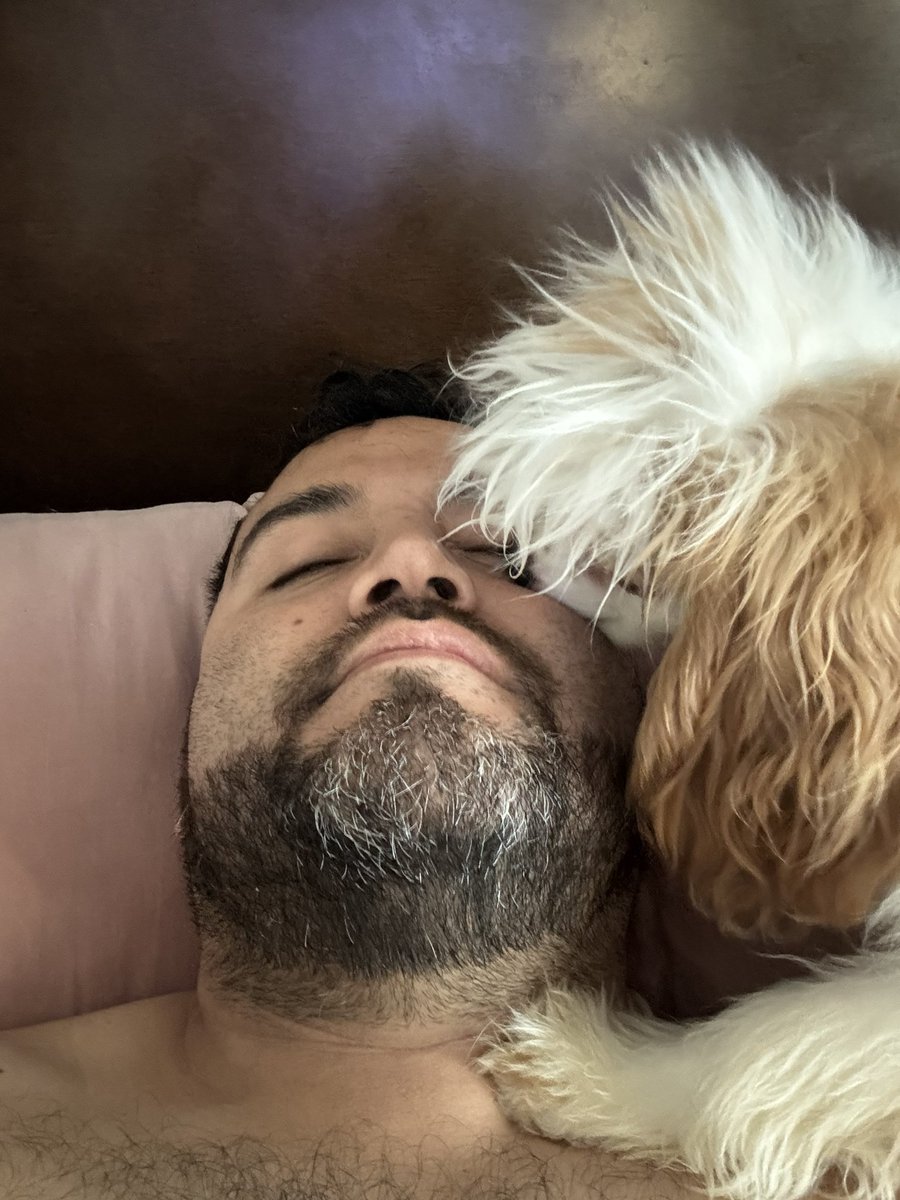 alfonsogarcialf's tweet photo. 🐶 https://t.co/qoz1yH65ss