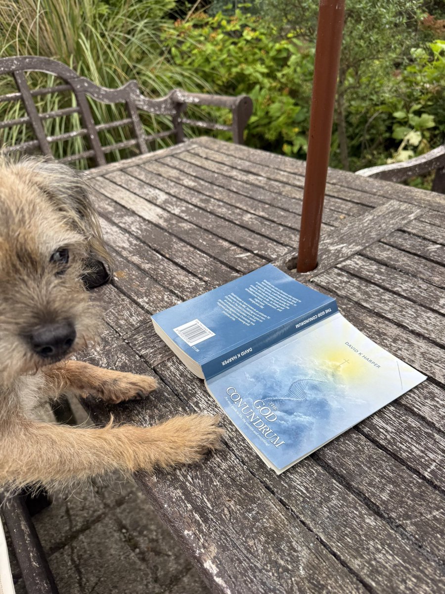 DavidHarperTV's tweet photo. She thinks it’s called ‘The Dog Conundrum’! https://t.co/HPITDth7nR