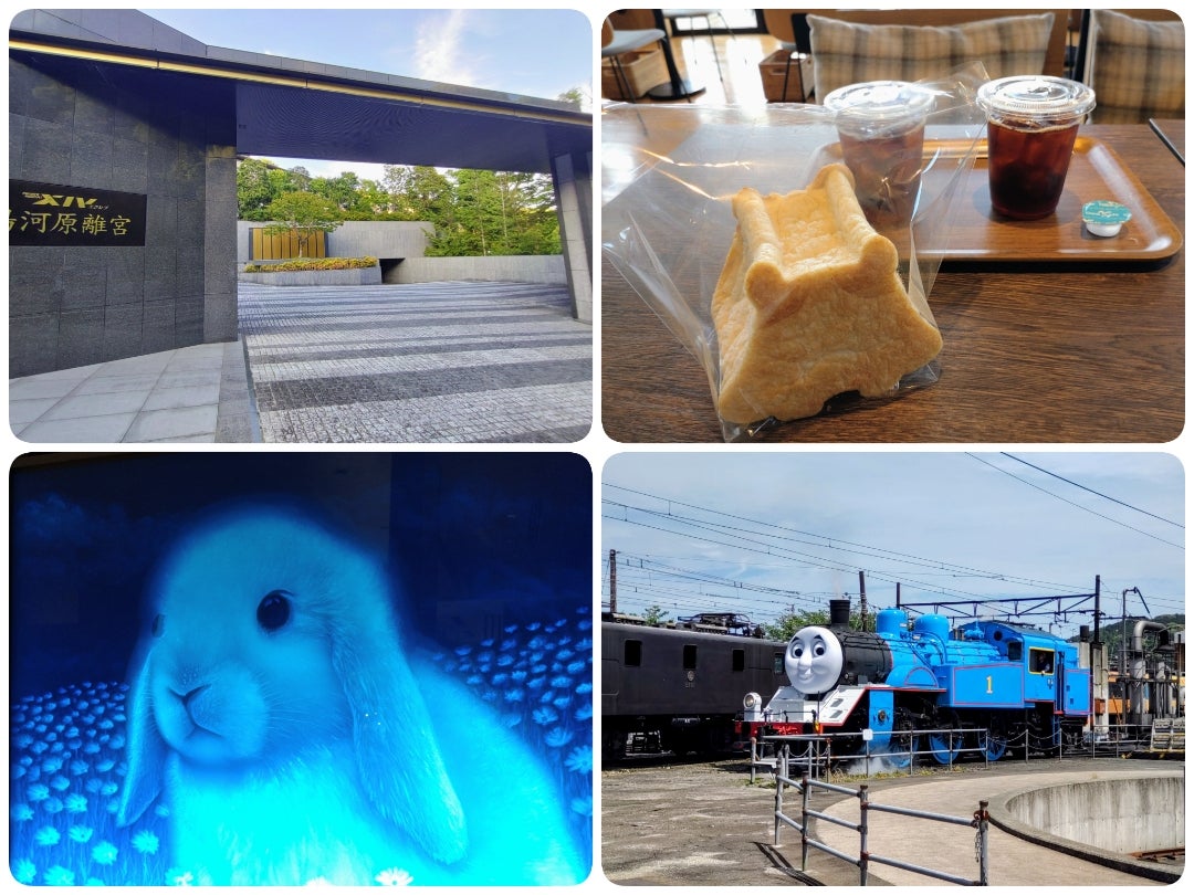 pyonpyonpyonta5's tweet photo. 4月
東京ベイコート俱楽部ステイ
グランドハイアット東京うさぎアフヌン
メッツァビレッジムーミンバレーパーク
5月
エクシブ湯河原離宮ステイ
沼津La torrettaメンダコパン
大井川鐵道きかんしゃトーマス
🚂🚂🚂 https://t.co/GPi1rdXVO6