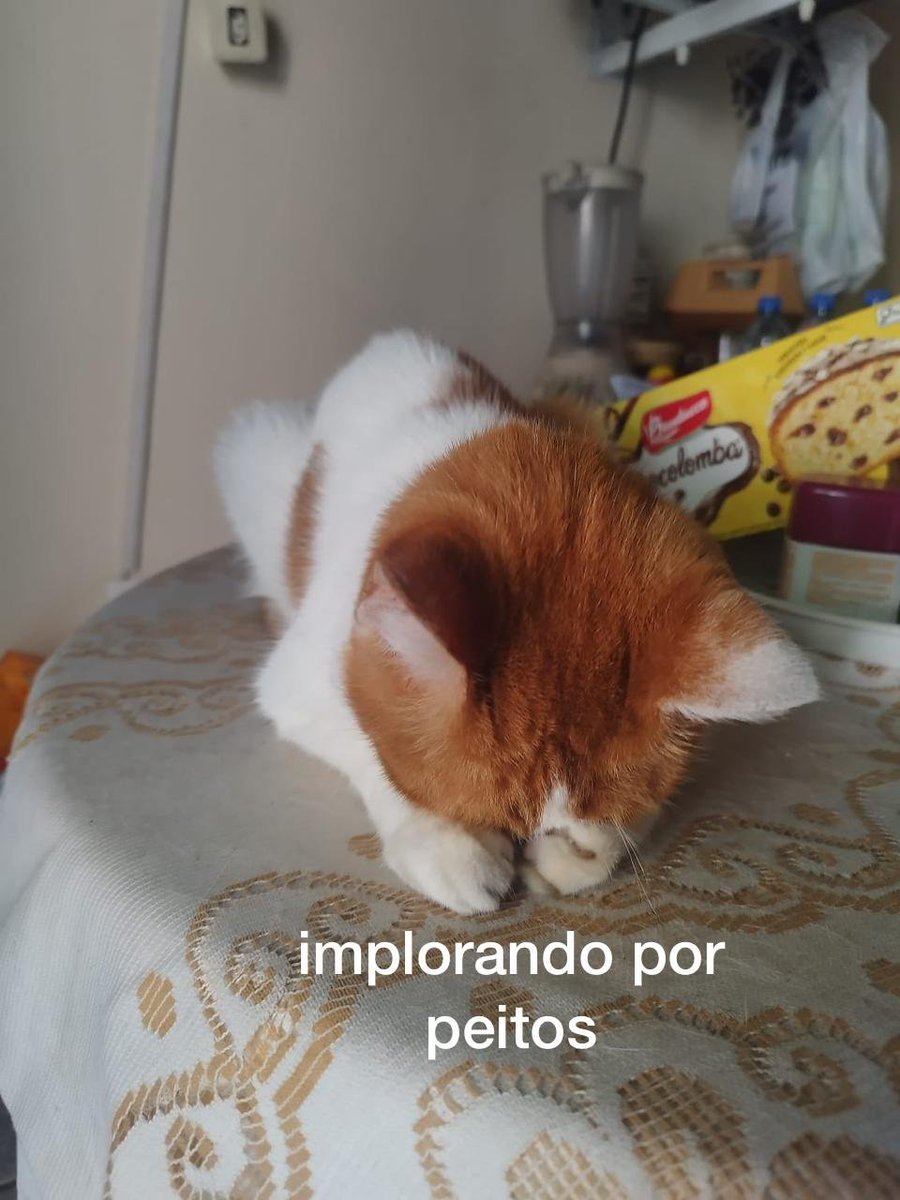 odeiootaco's tweet photo. euuu https://t.co/bLX0Q7EbE3