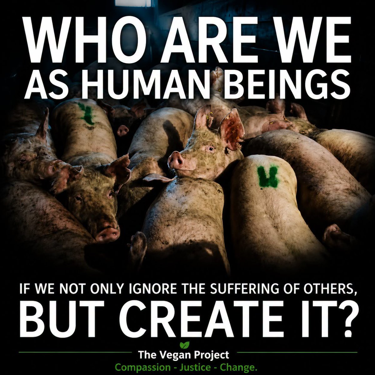 DERVIEMOO's tweet photo. It come down to being an uncivilised and disgusting human race 💔 https://t.co/Xn8P3QlAh5