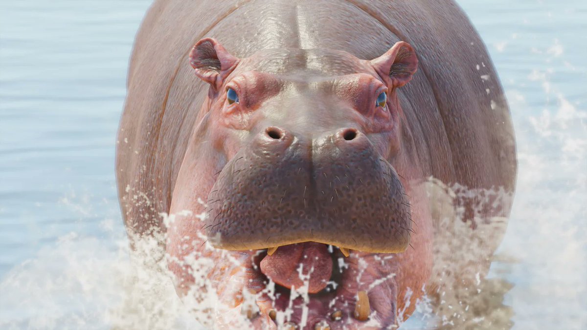 leafzproduction's tweet photo. All Planet Zoo 2 Remastered Reveals Today:

Common Chimpanzee
Saltwater Crocodile
Red Panda
Common Hippopotamus https://t.co/rVJBx2PmTo