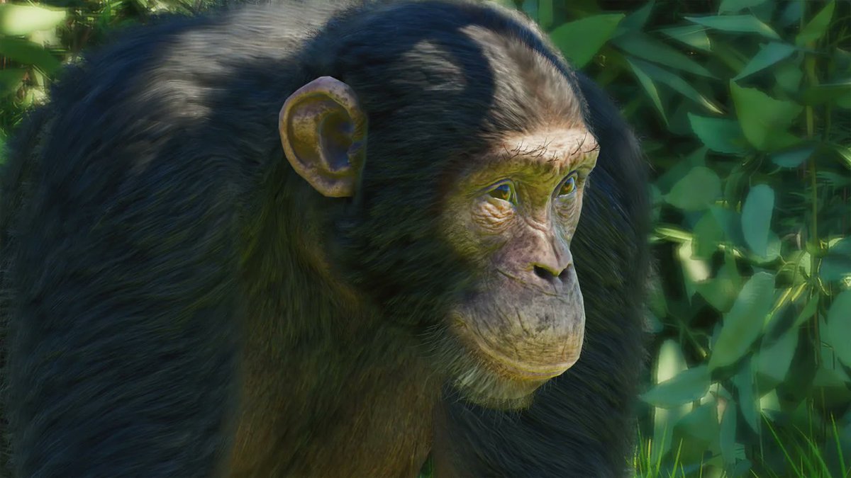 leafzproduction's tweet photo. All Planet Zoo 2 Remastered Reveals Today:

Common Chimpanzee
Saltwater Crocodile
Red Panda
Common Hippopotamus https://t.co/rVJBx2PmTo