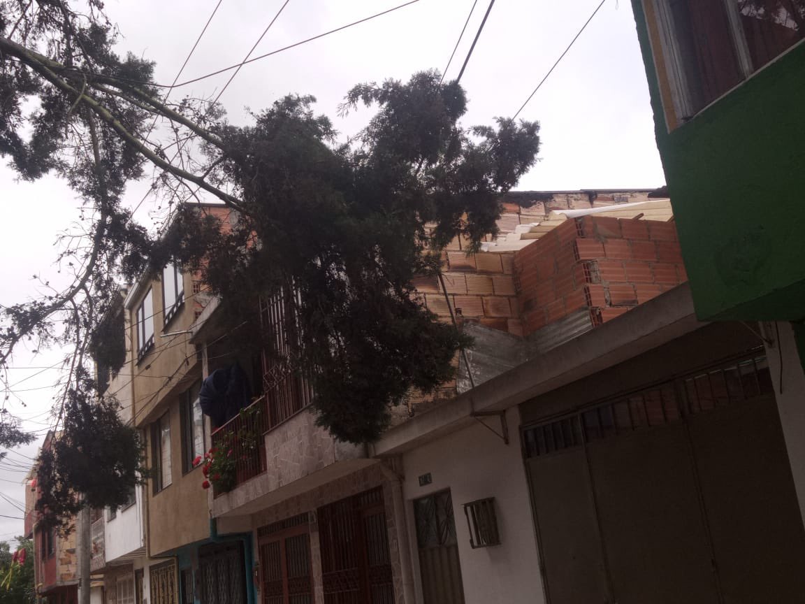 IvanPerdomoL's tweet photo. Por favor señores @Ambientebogota @Bogota @Uaesp @subaalcaldia @JBotanicoBogota @BomberosBogota por favor ayúdanos con estos árboles, este fin de semana se cayó una rama sobre una casa en Cra 153 143-42 Bilbao. Se han realizado derechos petición y no han respondido. https://t.co/4oDuvZjy1w