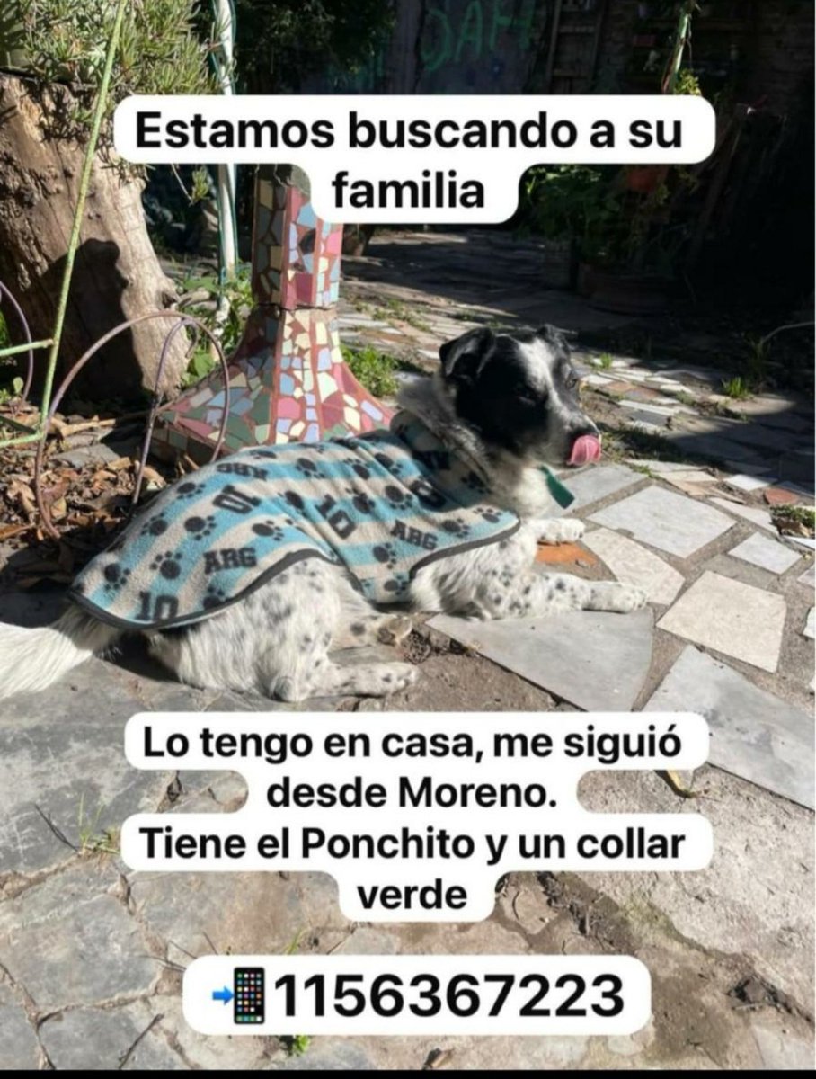 patripeyrou's tweet photo. Difundimos https://t.co/sUoiJ0WJwY