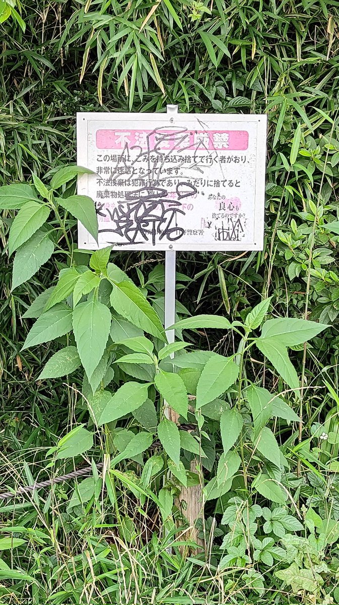 bowwow0316's tweet photo. 最近、市内を歩いてると公共の場でのイタズラ書き、タバコのポイ捨て、ゴミの散乱が目立つ気がします。

治安の悪化でしょうか…
街に対する人々のリスペクトや規範意識が緩んでいる状態が悲しいです。

​#環境美化 #日野市 https://t.co/jYVtEnyMnj