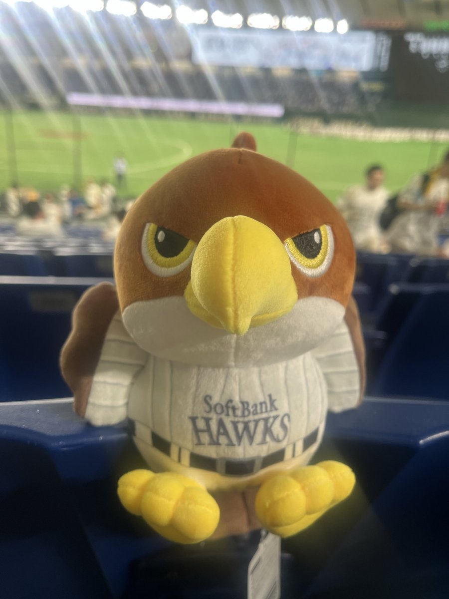 sbhchiispeed's tweet photo. 現地よりたかほーーーーーー！！
今年も東京ドームホームゲーム勝利でした⭐️
チャンテもたくさんで楽しかった😆

明日も勝ちましょう！！

#鷹祭SUMMERBOOST
#sbhawks https://t.co/OXiErLG5r0
