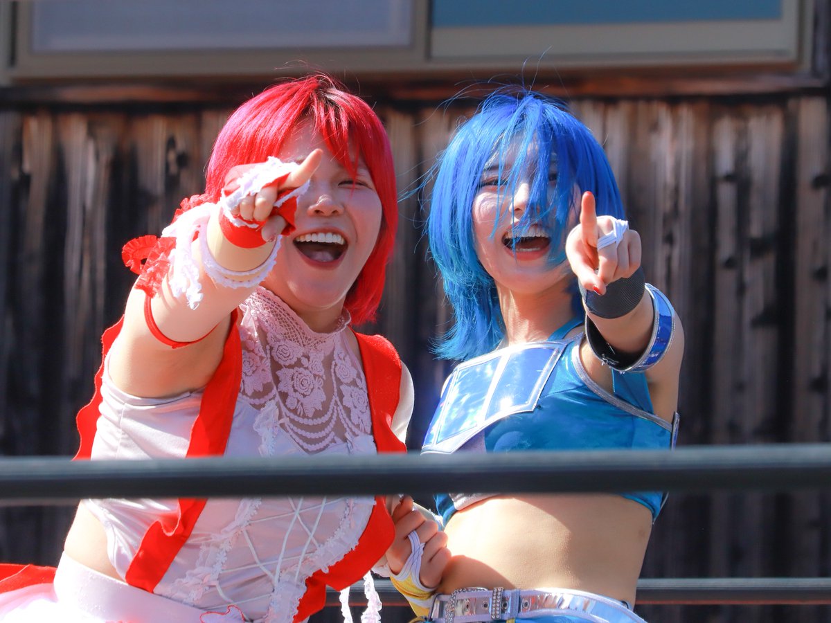 2026年自分が選ぶ今年上半期の4枚(tjpw)