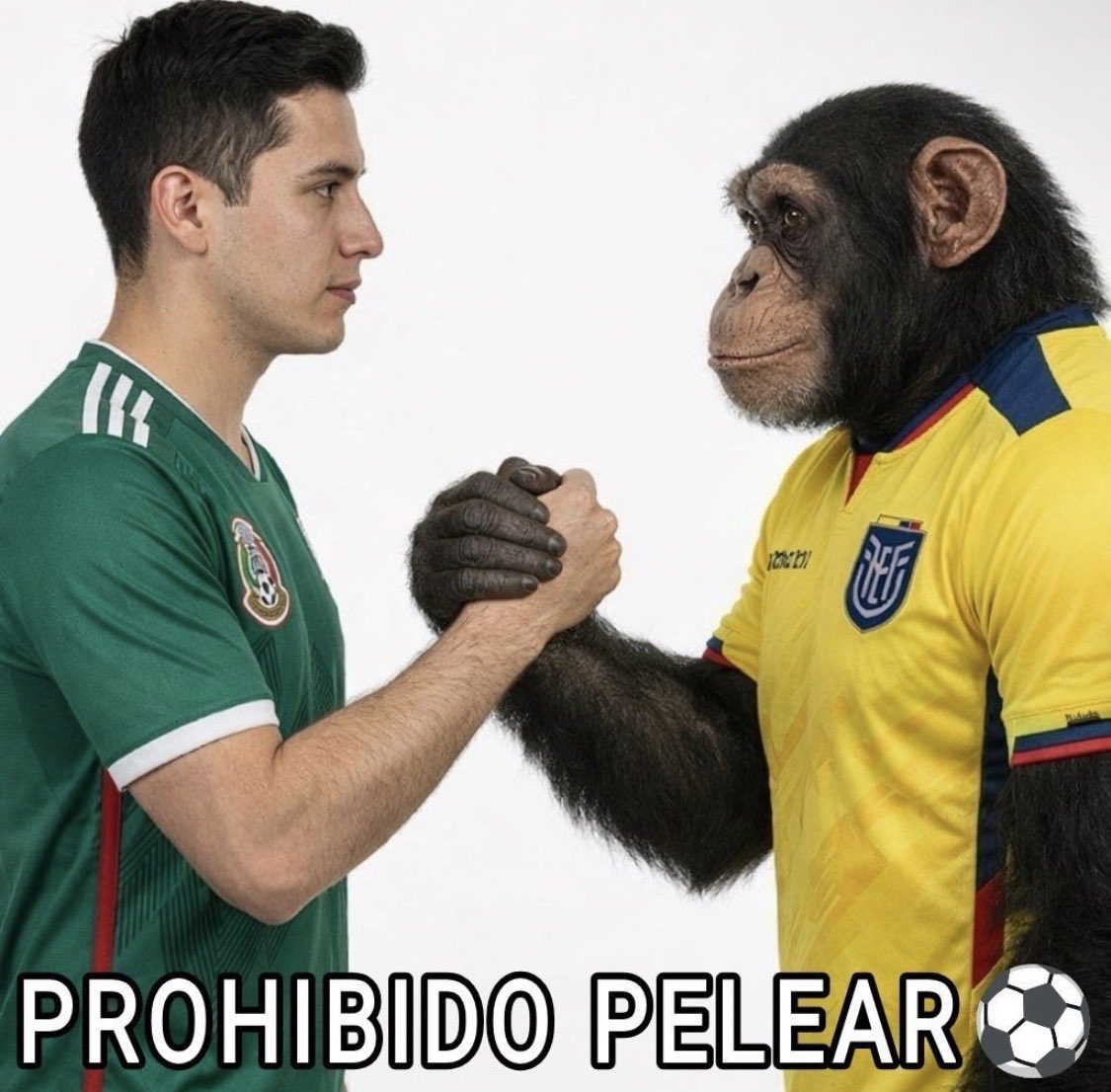 CsrRcz's tweet photo. @Albert19Hdz @StudioFutbol @hattrick_tv_ Estaríamos a mano después de que invadieron nuestra embajada en Ecuakong, y los verás llorando aquí cuando los abucheen y llorando cuando vayan de regreso https://t.co/63DVgEdNYB