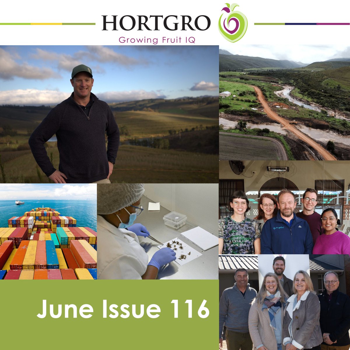Hortgro's tweet photo. The latest Hortgro Newsletter is out!

Stay up to date with the latest industry news, research, market insights, and developments shaping South Africa's deciduous fruit sector.

Read it here: https://t.co/dLiwCdzi5C https://t.co/Gx6cI5CsE2