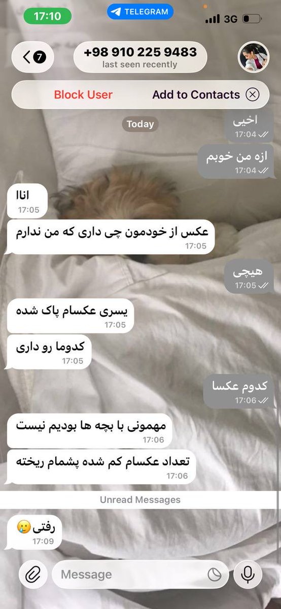 Shaghayegh tweet media