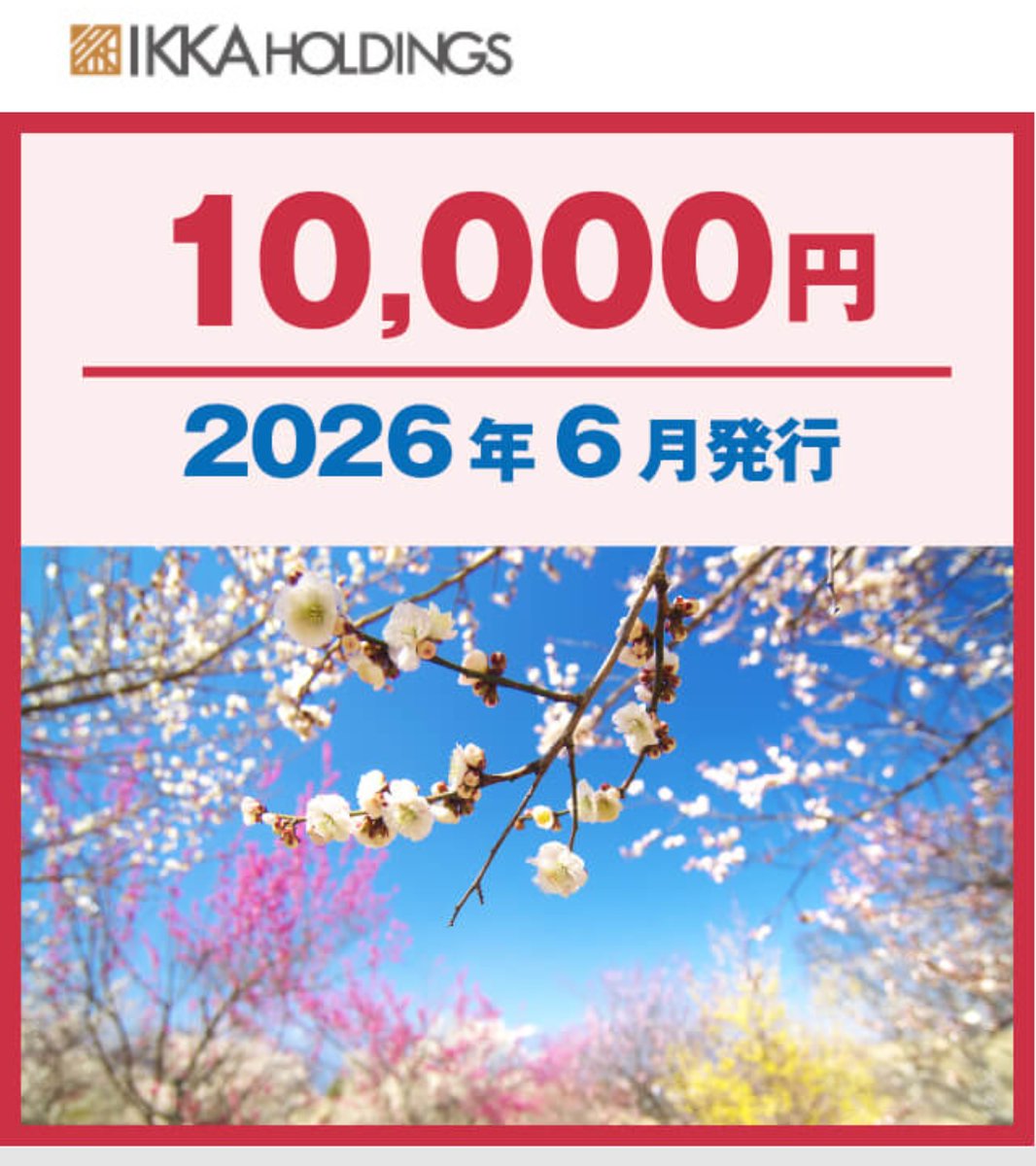 一家ホールディングス 株主優待 10000円分 株主優待制度｜一家