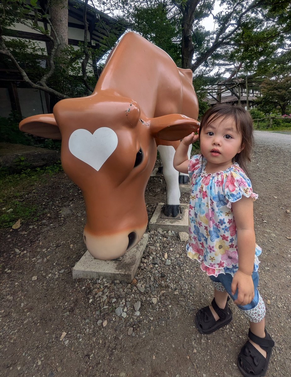 debunyaro's tweet photo. 今日も可愛い😍💕 https://t.co/Outk2PMmXr