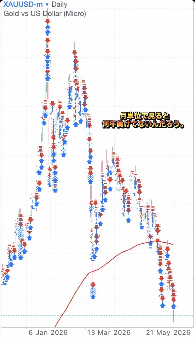 utamaruusagi1's tweet photo. ゴールドは簡単に稼げる。
でも実際に触ると、一瞬で利益も損失も動く。ロット管理ができないと一番危ない通貨。
そんな中ゴルスラ様なら月単位で負け無しです。 https://t.co/bKsSDC7zke