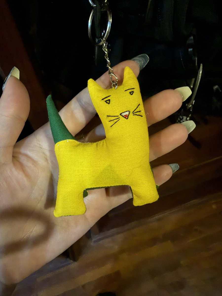 猫(・ω・) 変な猫買っちゃった(^⩌ ω ⩌^ )੭