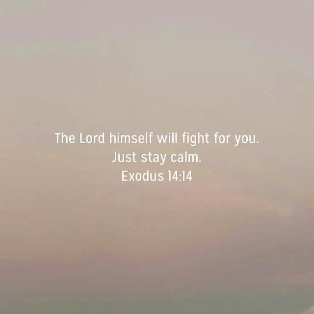 kimberlyroof's tweet photo. God is fighting for you. Just stay calm. ❤
#godfightsforyou #staycalm #dontworry #godisincontrol https://t.co/h4Sj863a98