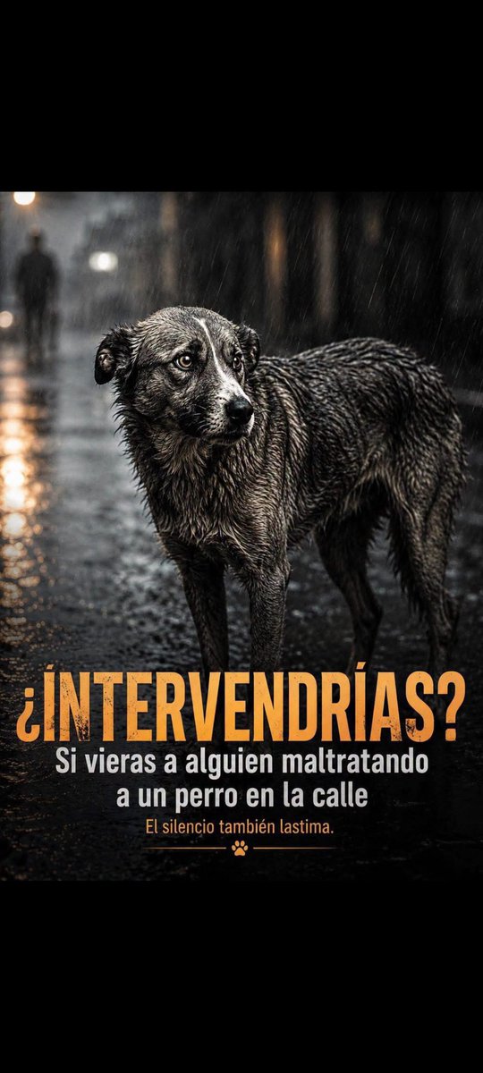 Luisgranate3's tweet photo. No dejemos que los maltraten, ellos viven dando amor a sus dueños y si son callejeros con más razón, trata bien a los animales! ❤️🤗🤗 https://t.co/fJ9Oyl1wjd