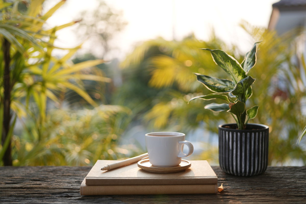 RxseX3's tweet photo. Just made a warm cup of tea, curled up with my favorite playlist—this is exactly the chill vibe I need after a long week ， https://t.co/NMah3UEf55