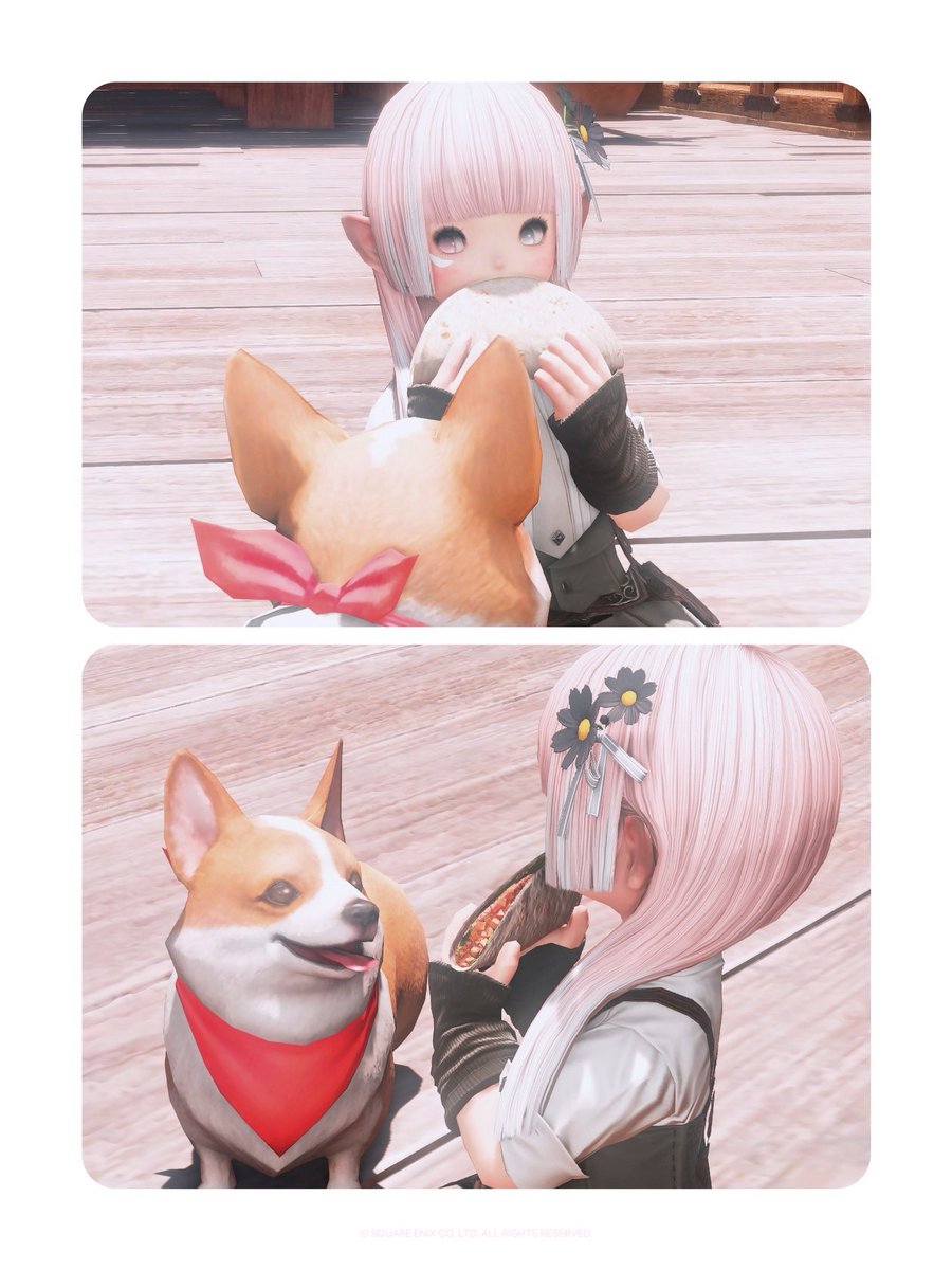 Post by るる on X: 🌮🍞♡