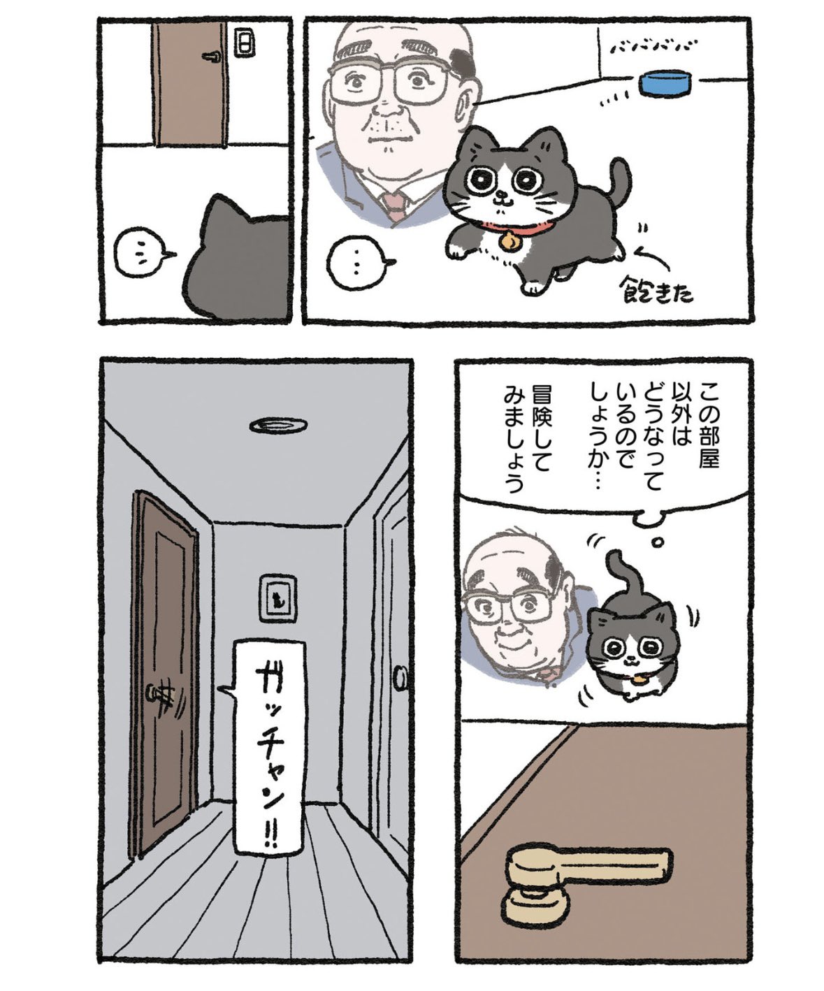 やじま@ねこおじ7・8巻発売中🐱 on X: 