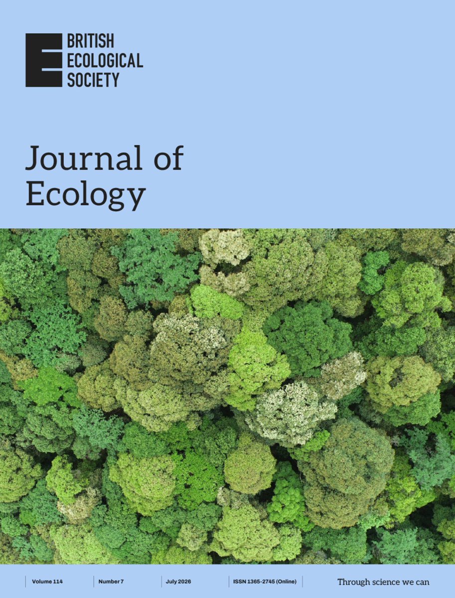 JEcology's tweet photo. 🌳 The July issue is out now! 👉️ https://t.co/WOKF1QRjdF 

🍃The image shows an "Aerial view of a species-rich subtropical evergreen broadleaved forest in Tiantong, Zhejiang, China." Read the article by Chen et al. 👉️ https://t.co/LHwOfzAOm8 https://t.co/hSHB0PPVeW