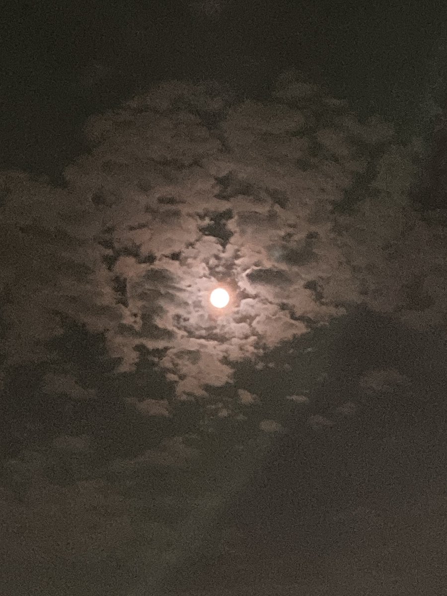 kikumap's tweet photo. 🌕
#満月 https://t.co/5RdKWGdndA