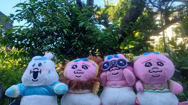 00Hwr's tweet photo. 今日は休みなのでおぱんちゅ探検隊が美味しい物を探してジャングルを探索してました
美味しいカレー見つけましたよ😊
#おぱんちゅうさぎ
#んぽちゃむ
#スパイスカレー https://t.co/MJ2sGRgSWP