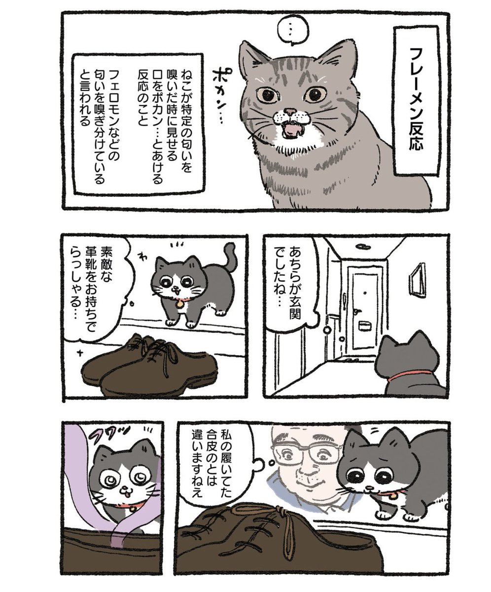 yajima_en's tweet photo. 2/2 https://t.co/ns9aeOFXOp
