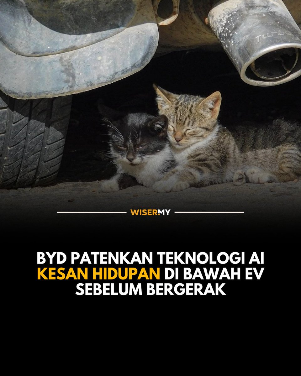 officialwisermy's tweet photo. BYD memfailkan paten sistem AI yang boleh mengesan kucing, anjing atau hidupan lain di bawah kereta sebelum kenderaan bergerak. https://t.co/Y0J8PNbRyL