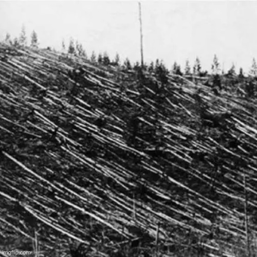 LiamOMaraIV's tweet photo. The world dodged a bullet on #ThisDayInHistory in 1908, when the #TunguskaEvent struck a remote part of #Russian #Siberia, in modern #KrasnoyarskKrai. A 330' #meteoroid exploded, flattening 830 square miles of forest. It is the largest #ImpactEvent on Earth in recorded history. https://t.co/2AjTvqqaad