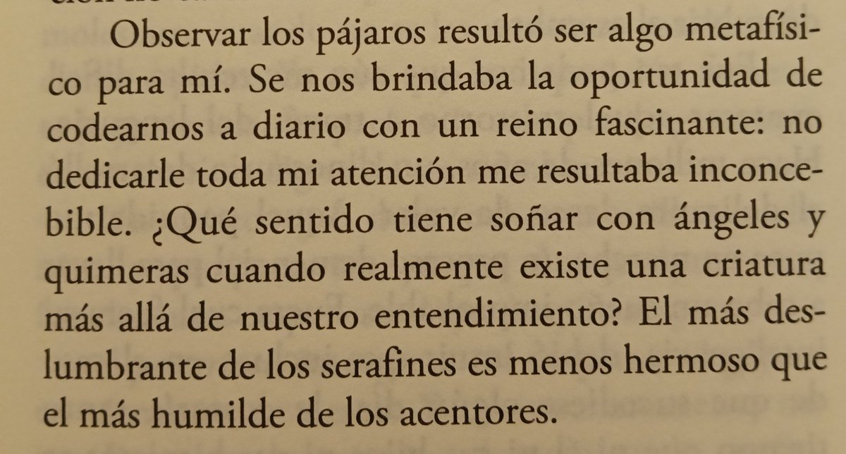 MFilosofal's tweet photo. Amélie Nothomb, "Psicopompo" https://t.co/4pViIZO9ct