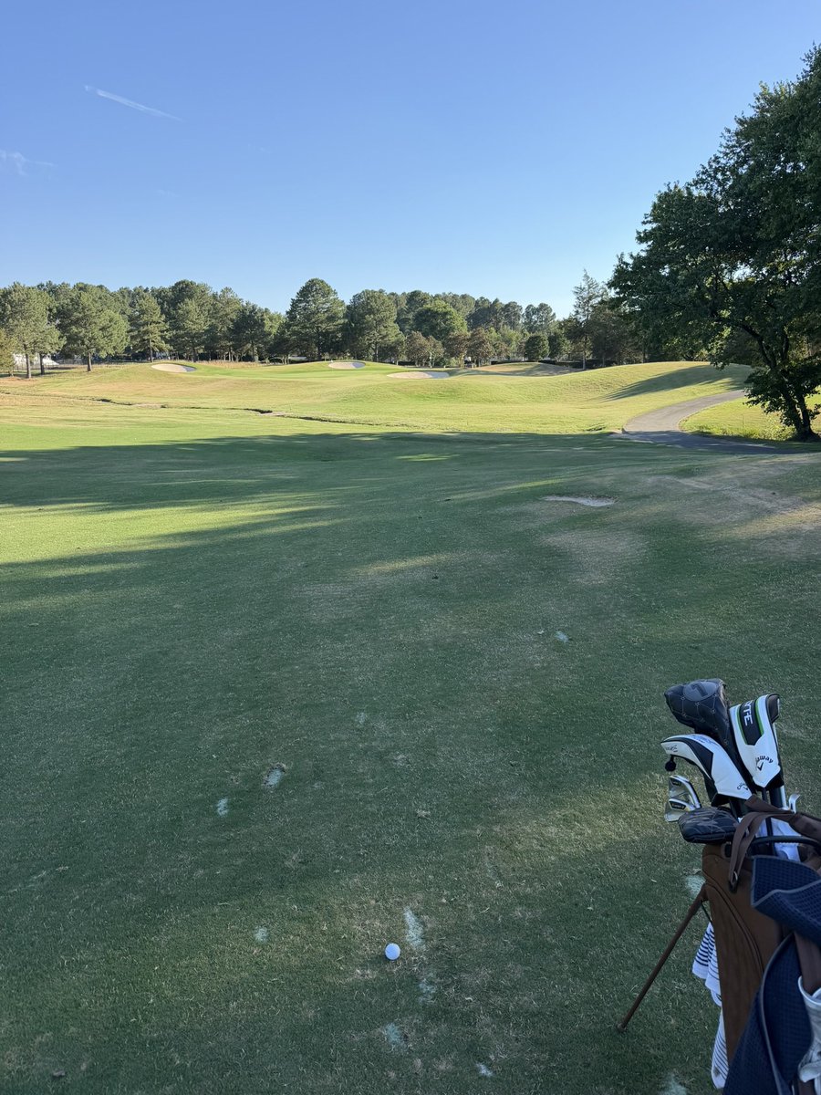 Arnold “Palmer? I Barely Know Her” Palmer tweet media