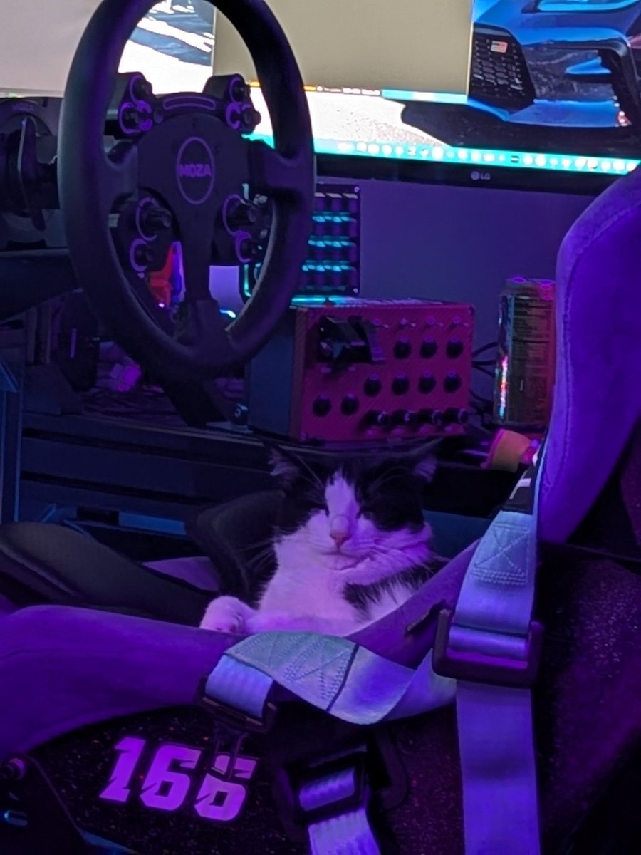 LaunchPointGG's tweet photo. LPGG Pets Co-Driver Profile: Pip
-Human: Dave D.
-Aliases: Pippers, Pippy Pie
-Preferred Series: Pipe cleaners
-Signature Move: Dropping a pipe cleaner on the lap and meowing for a throw mid-corner.
-Racing Incidents Caused: 0 https://t.co/jKMHv2FMtc