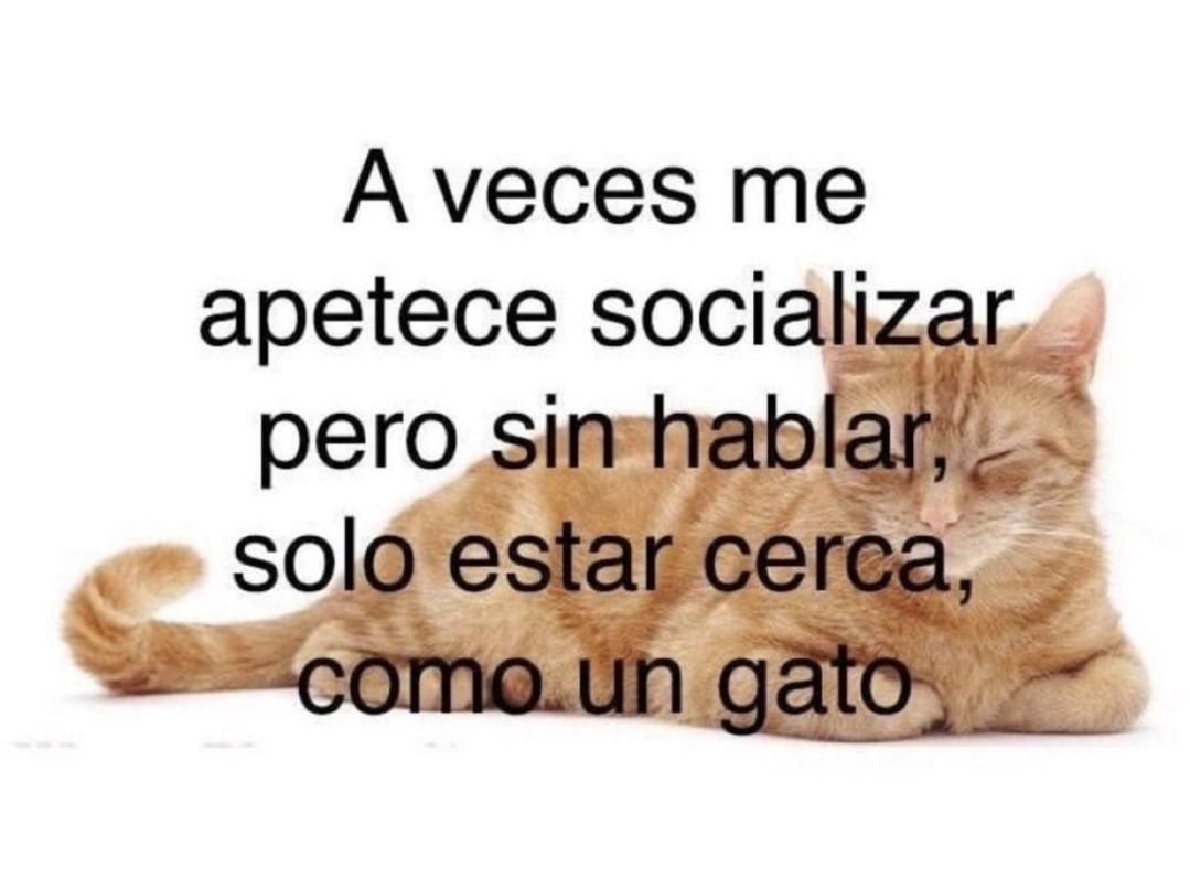 wikipistacho's tweet photo. https://t.co/DkR4ieI4ie