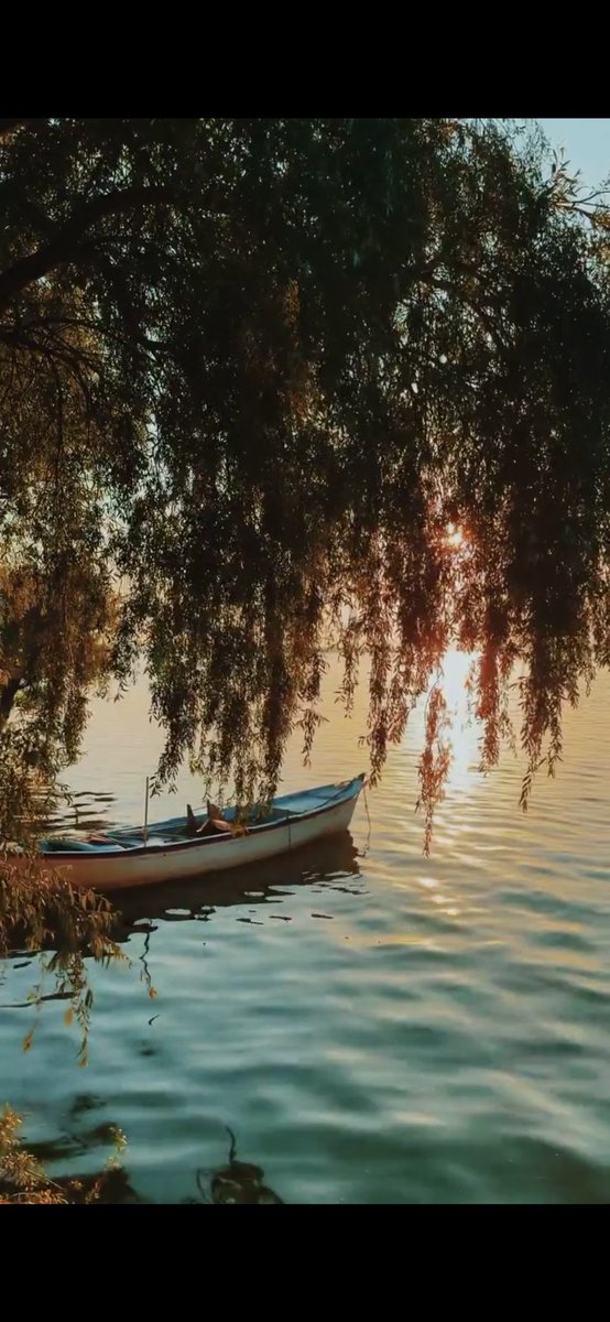 ISSIZ_27's tweet photo. İyi akşamlar sevgilim... 🌙🖤

Sen hangi gökyüzünün altında olursan ol, bil ki kalbim bu akşam da sana doğru atıyor... Mesafeler yalnızca yolları uzatır; sevgimi ve özlemimi asla... ❤️‍🩹✨

#İyiAkşamlar #Sevgilim #Özlem #Aşk  #Kalpten #Şiir https://t.co/yUZfsFRIau
